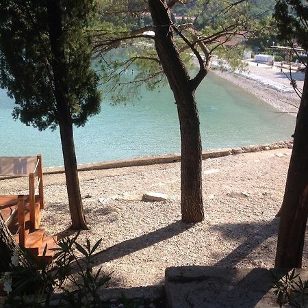 Apartment Biserka Cavtat Bilik gambar