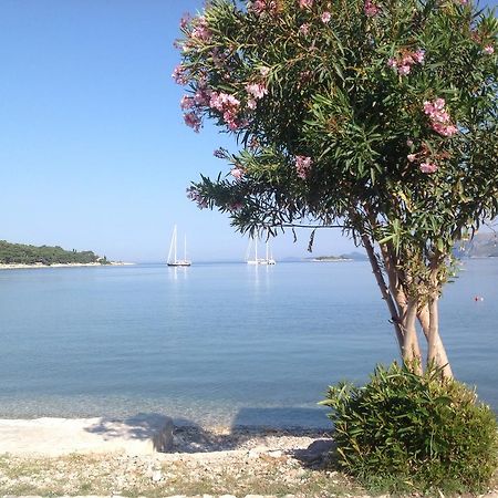Apartment Biserka Cavtat Bilik gambar