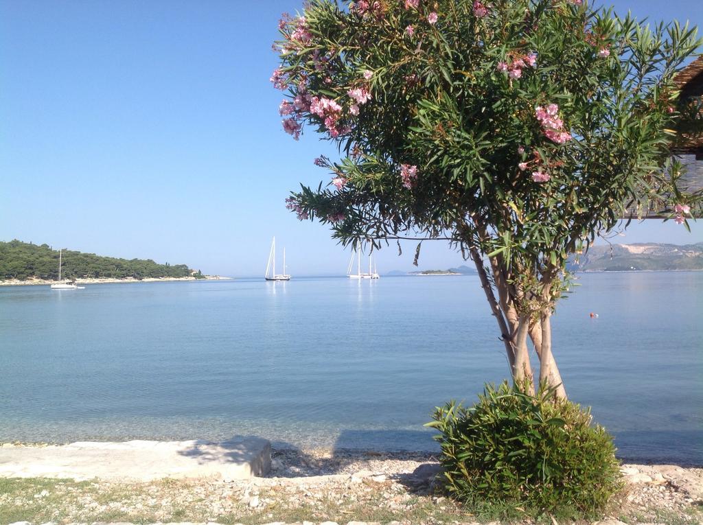 Apartment Biserka Cavtat Bilik gambar